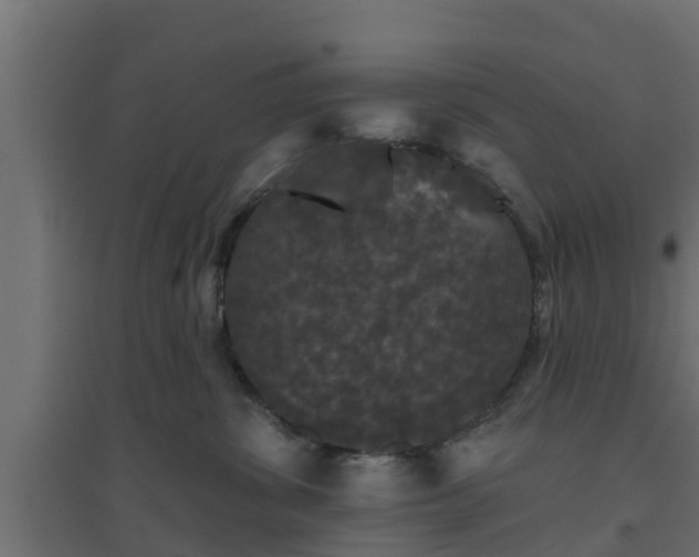 X0000094810428200711241450