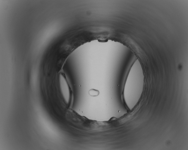 X0000094810429200711241450