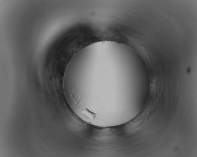 X0000094810430200711241450