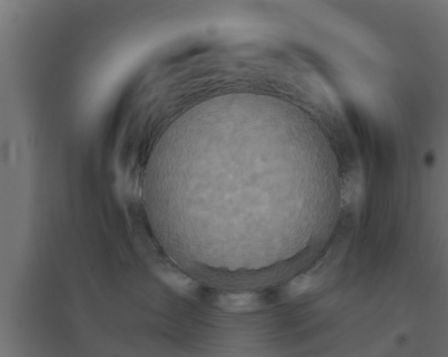 X0000094810431200711241450