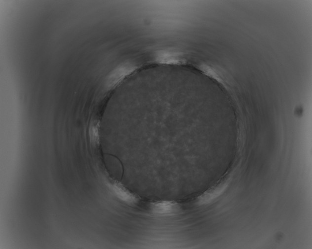 X0000094810432200711241450