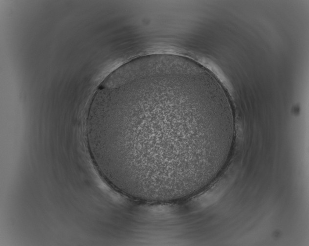 X0000094810433200711241449