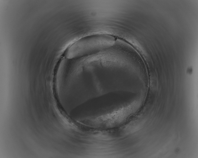 X0000094810434200711241449