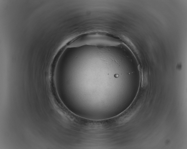 X0000094810435200711241449