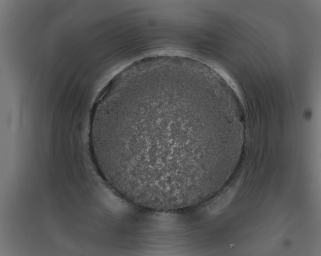 X0000094810437200711241449