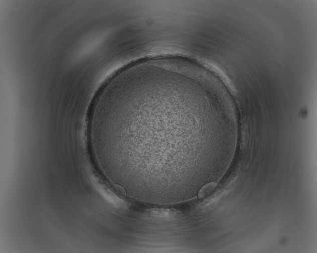 X0000094810439200711241449