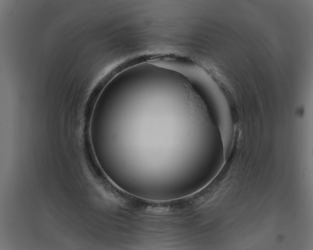 X0000094810440200711241449