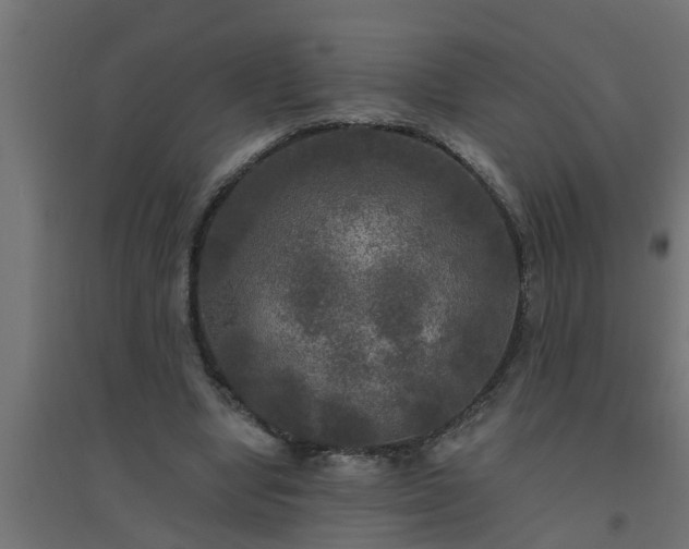 X0000094810442200711241449