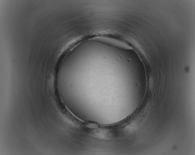 X0000094810444200711241449