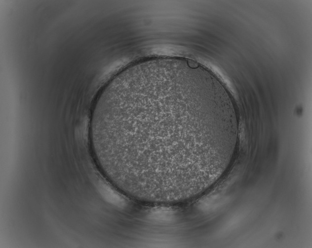 X0000094810445200711241449