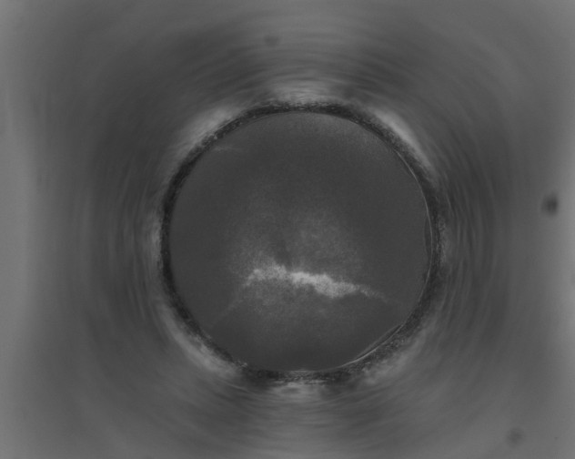 X0000094810447200711241449