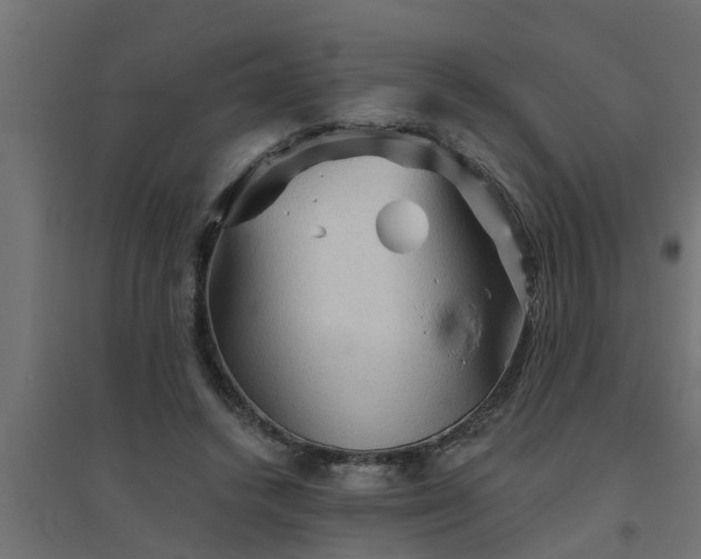 X0000094810448200711241449