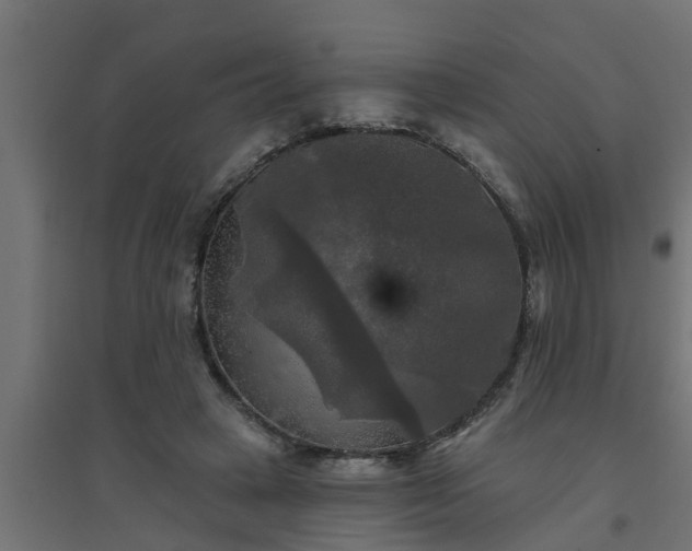 X0000094810449200711241449