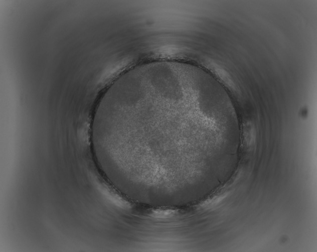 X0000094810450200711241449