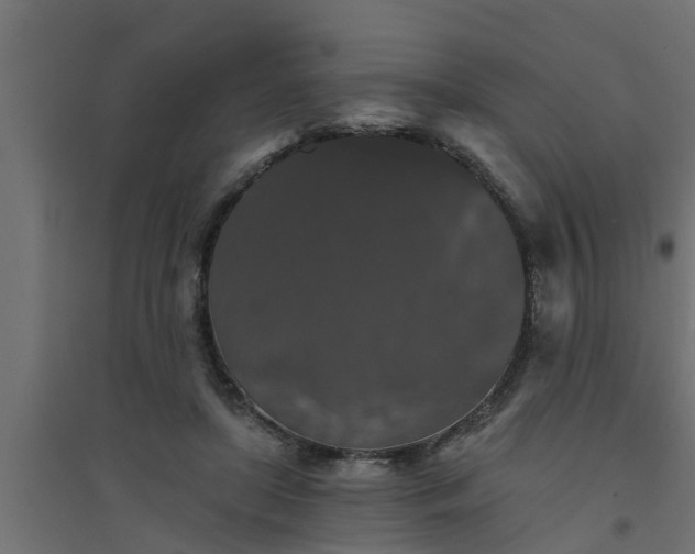 X0000094810451200711241449