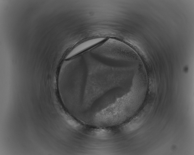 X0000094810453200711241449