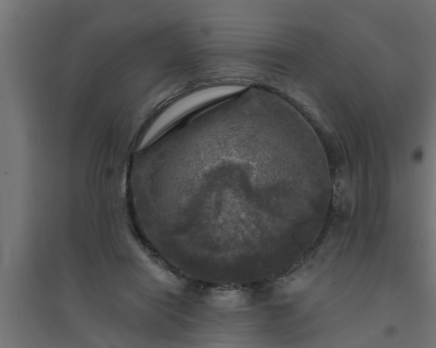 X0000094810454200711241449