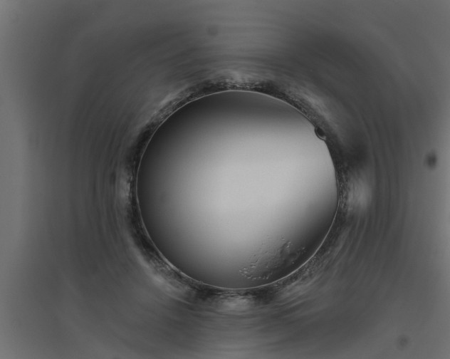 X0000094810456200711241449