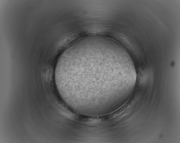 X0000094810458200711241449