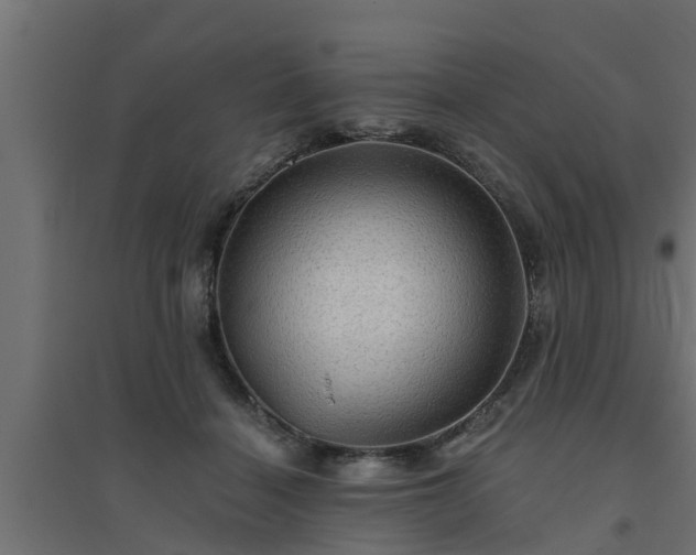 X0000094810460200711241449