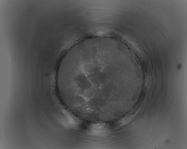 X0000094810461200711241449