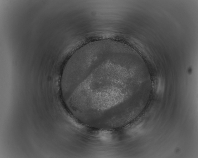 X0000094810462200711241450