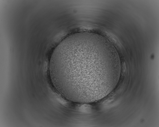 X0000094810463200711241450