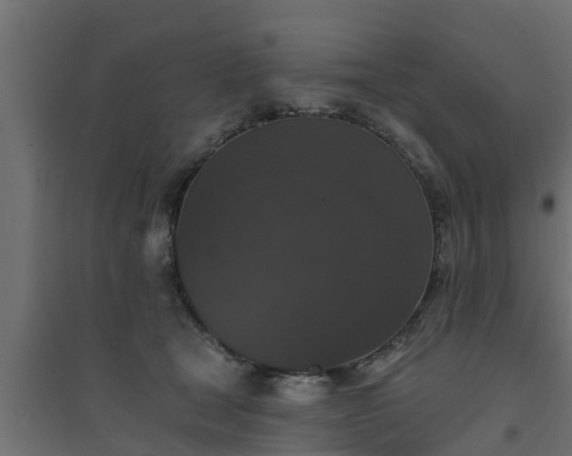 X0000094810465200711241450