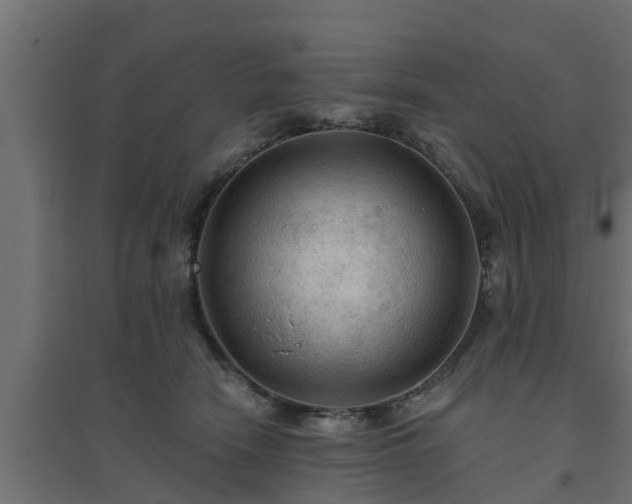 X0000094810466200711241450