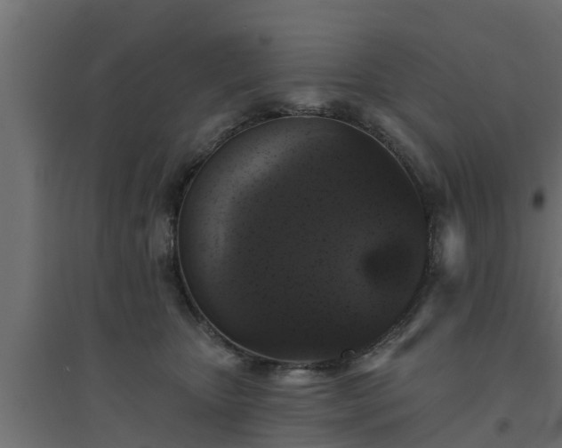 X0000094810467200711241450