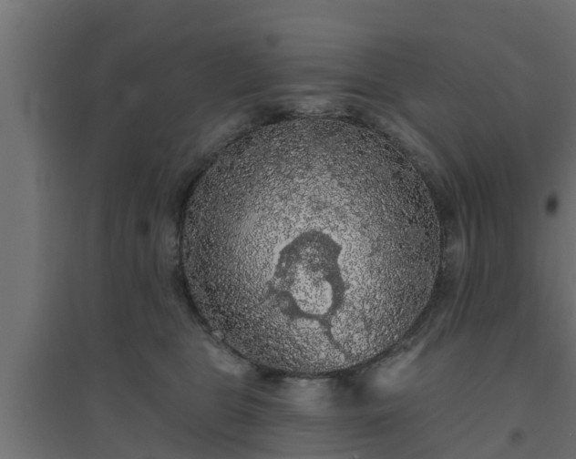 X0000094810469200711241450