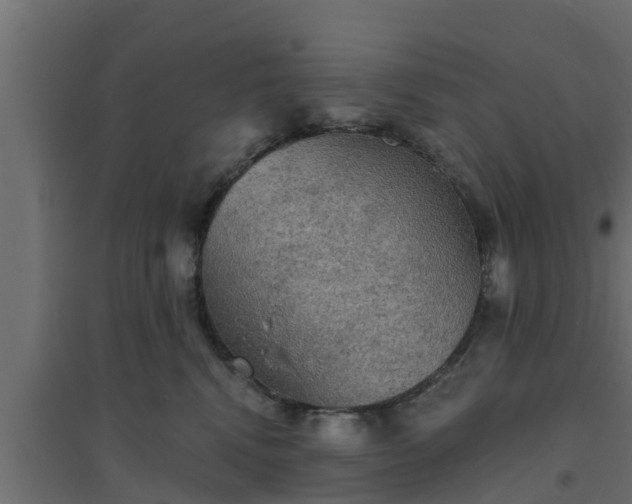 X0000094810472200711241450