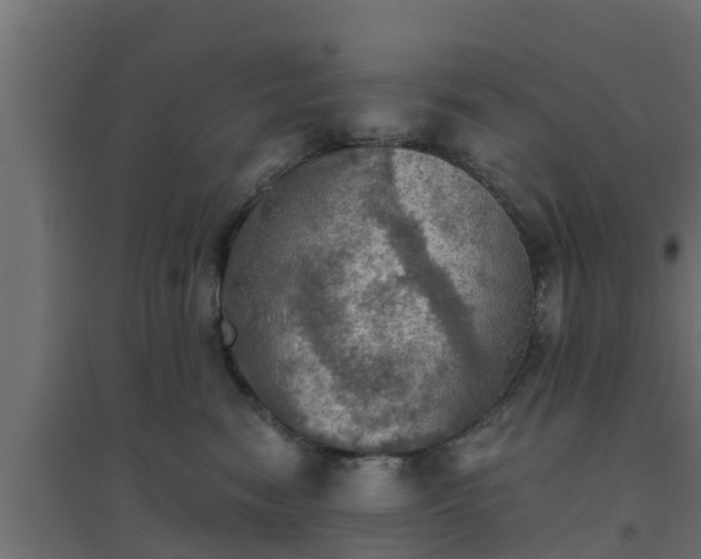 X0000094810474200711241450