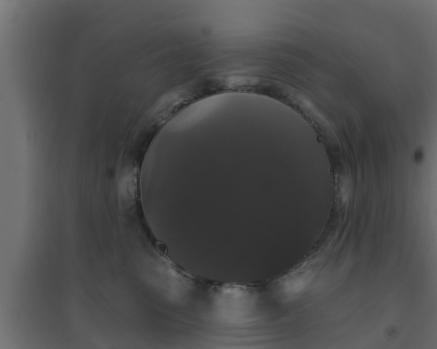 X0000094810475200711241450