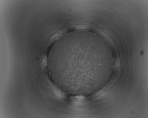 X0000094810478200711241450