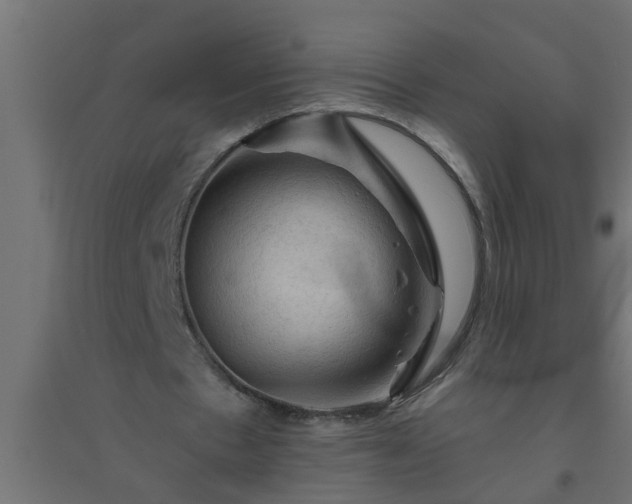 X0000094810481200711241449