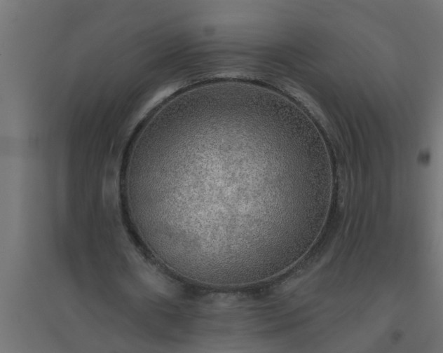 X0000094810482200711241449