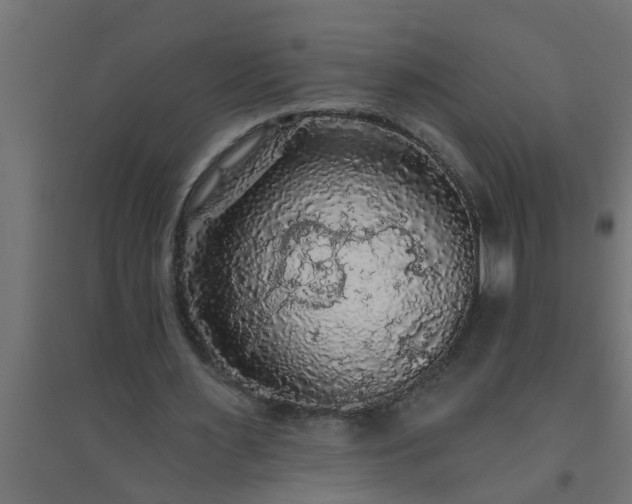 X0000094810483200711241449