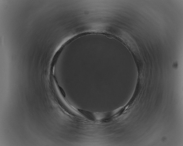 X0000094810484200711241449