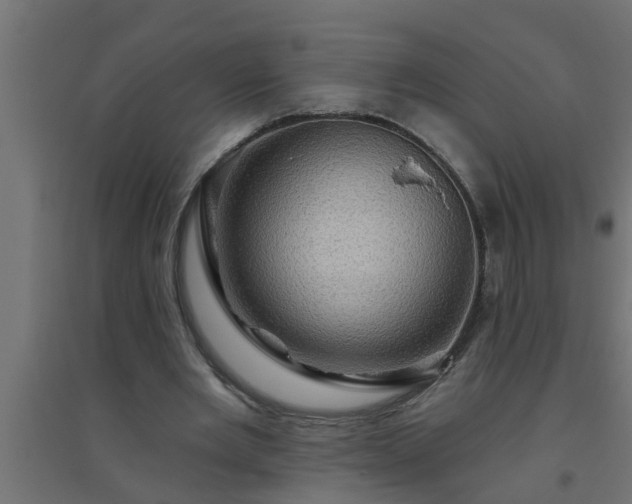 X0000094810485200711241449