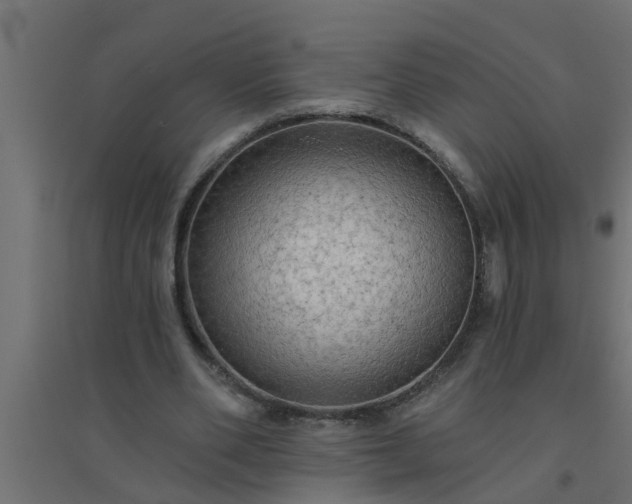 X0000094810486200711241449