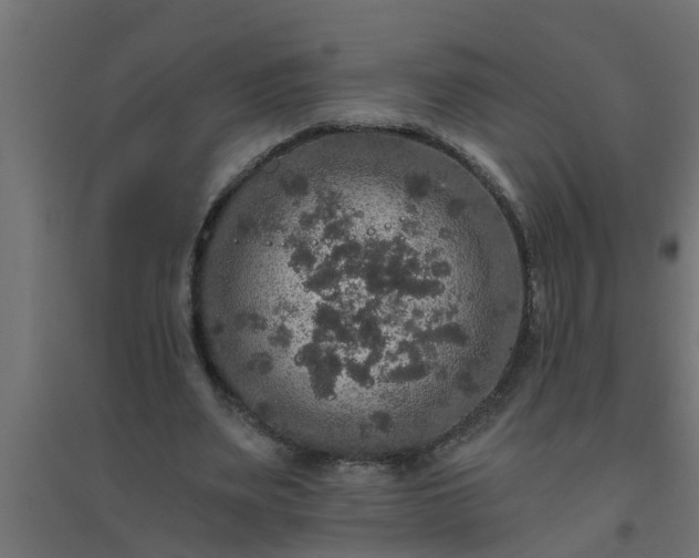 X0000094810487200711241449