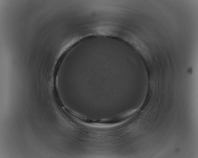 X0000094810488200711241449