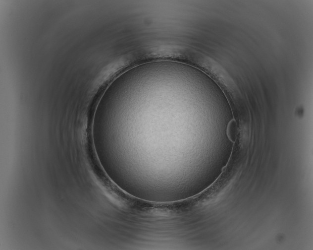 X0000094810490200711241449