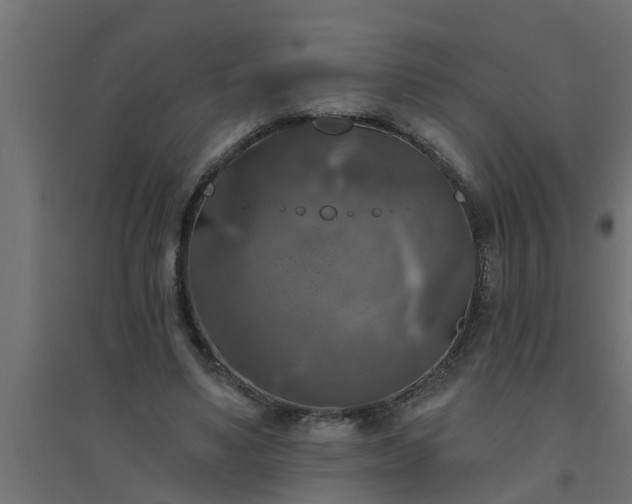 X0000094810491200711241449