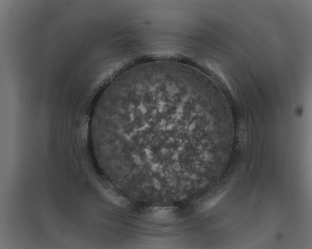 X0000094810495200711241449