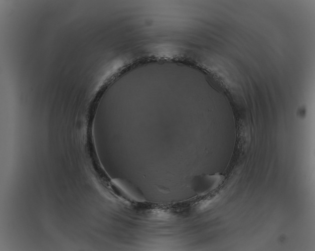 X0000094810496200711241449