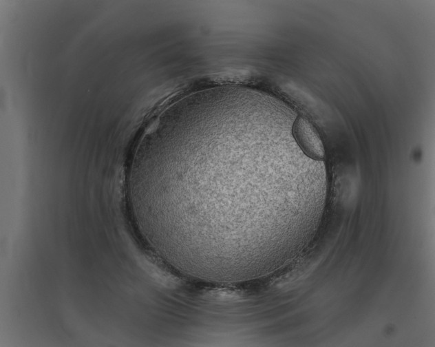 X0000094810498200711241449