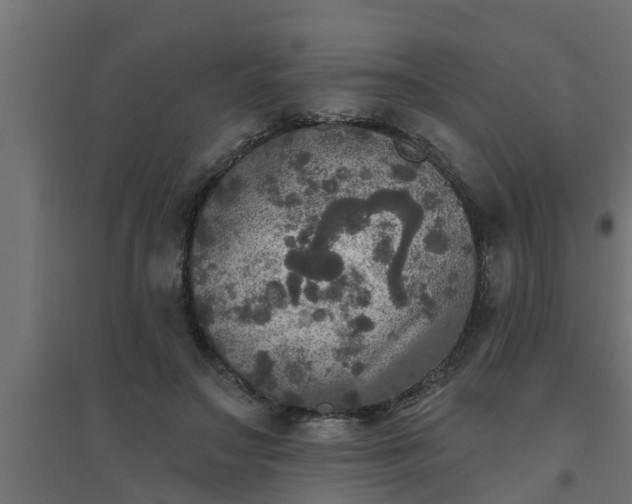 X0000094810499200711241449