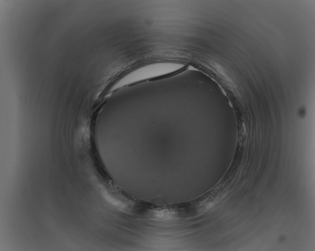 X0000094810500200711241449